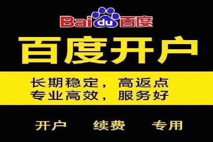百度竞价推广成功案例解析